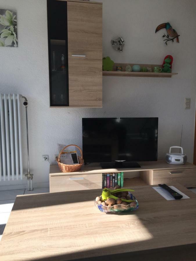 Ferienwohnung Sonnenschein Гренцах-Вилен Экстерьер фото